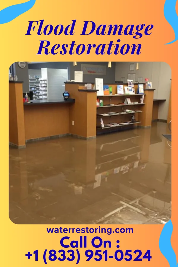 Flood Damage Restoration in Rentchler, IL