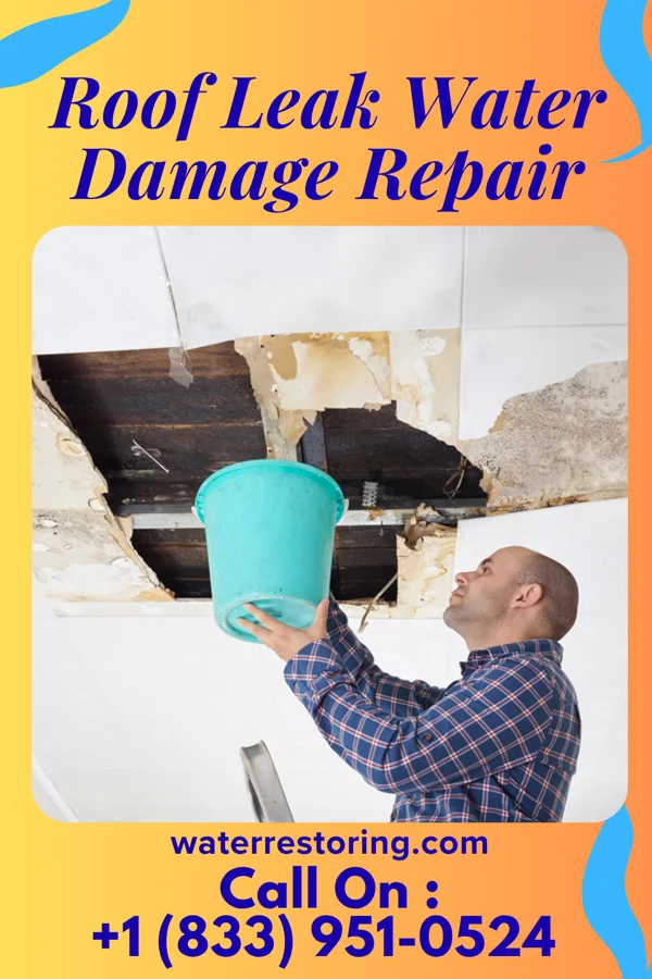 Roof Leak Water Damage Repair in Rentchler, IL
