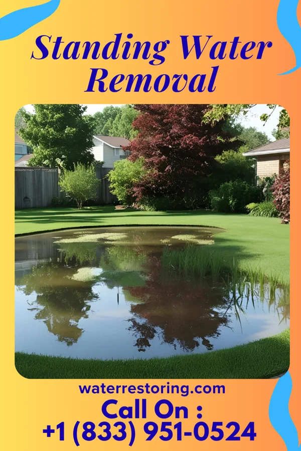 Standing Water Removal in Rentchler, IL